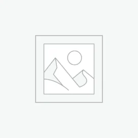سندوتشات البطاطس